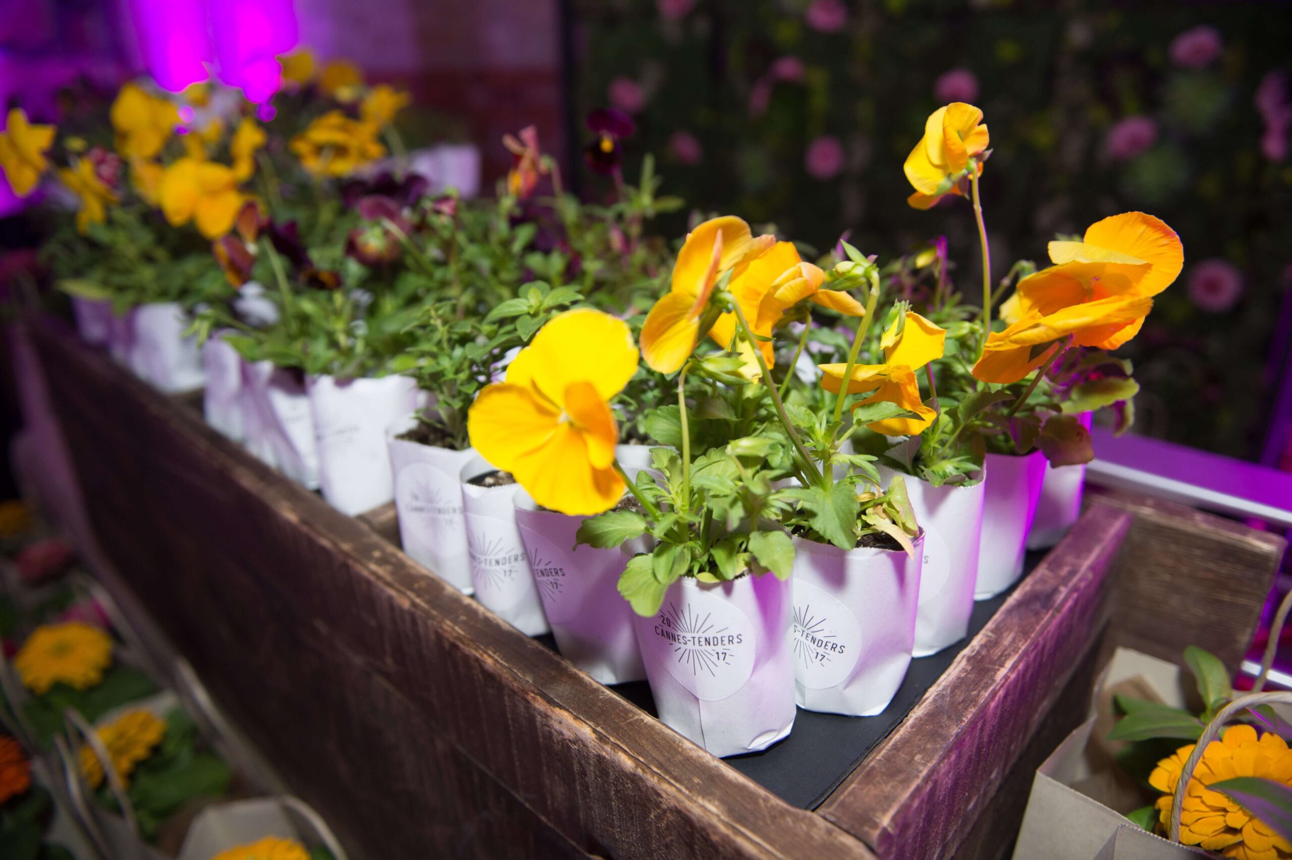 Kijiji Cannes Tenders - Yellow House Events