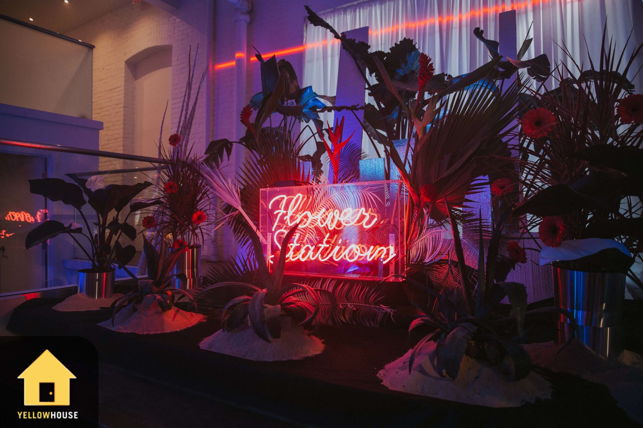 WWF Pandamonium - Yellow House Events